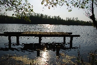 image1006.jpg