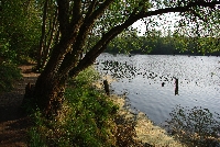 image1007.jpg