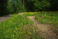 image1018.jpg