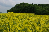 image1040.jpg