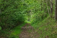 image1042.jpg