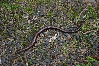 image1043.jpg
