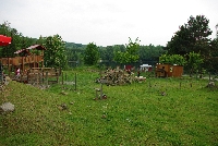 image1049.jpg