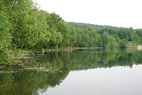image1054.jpg