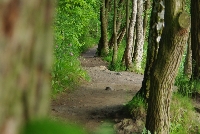 image1057.jpg