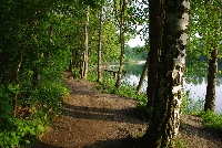 image1061.jpg