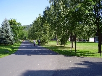 timage2003.jpg